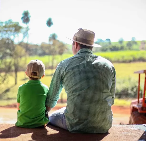 Holding vem ganhando espaço no agronegócio