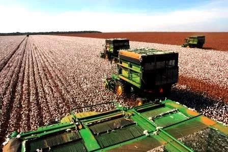 Mato Grosso teve o maior acréscimo de participação na economia nacional