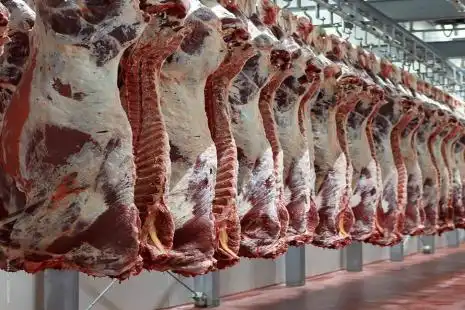 Acordo entre União Europeia e Mercosul pode dobrar a exportação de carne bovina