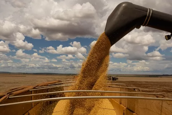 Aprosoja denuncia formação de cartel internacional para prejudicar produtores de soja de Mato Grosso