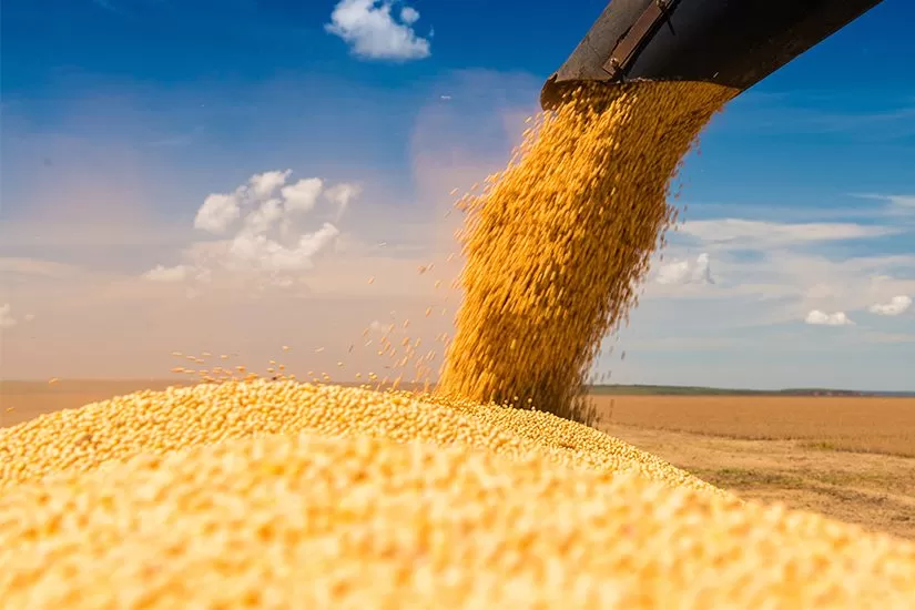 Exportações do agronegócio ultrapassam US$ 153 bilhões no acumulado de 2024