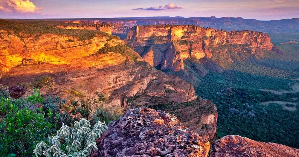 Parque Nacional de Chapada dos Guimarães (MT) zerar focos de incêndio, e pontos turísticos são reabertos