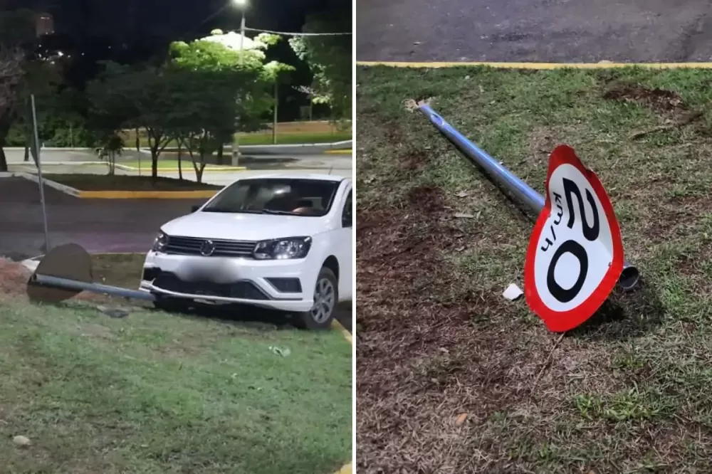 Tia que bateu em placa e causou morte de bebê de 10 meses é indiciada