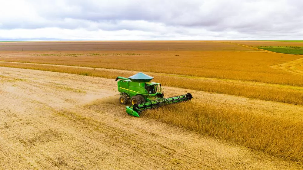 Ano para soja foi marcado por oferta global robusta, recuperação sul-americana e desafios climáticos