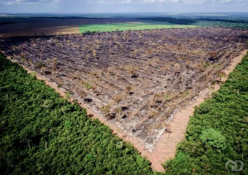 ALMT aprova redução de reserva legal no Cerrado