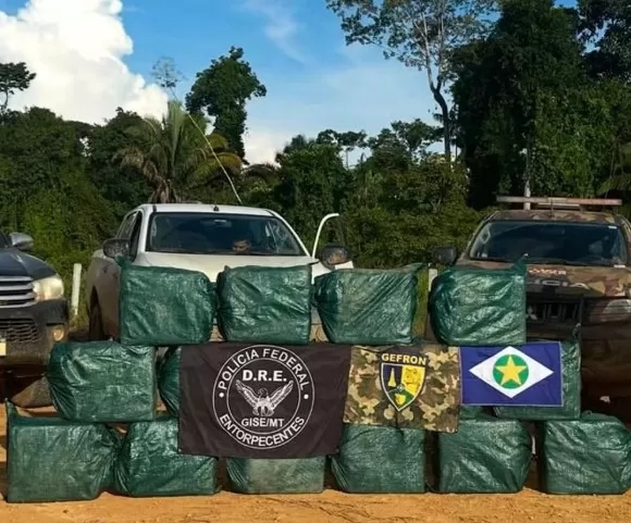 Polícia prende 600 kg de droga em Campo Novo do Parecis