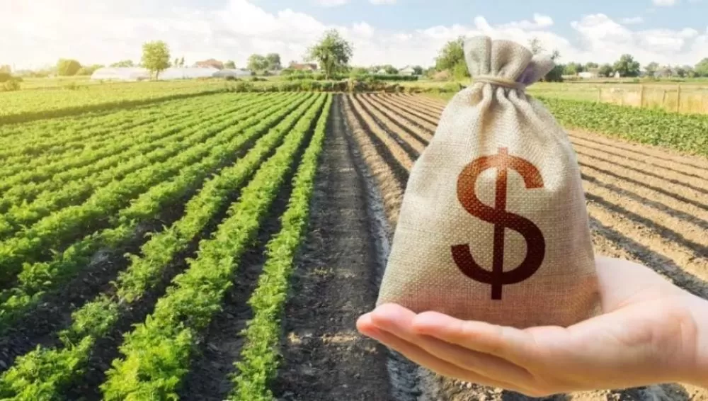 Governo anuncia o “Desenrola Rural” para renegociação de dívidas no campo