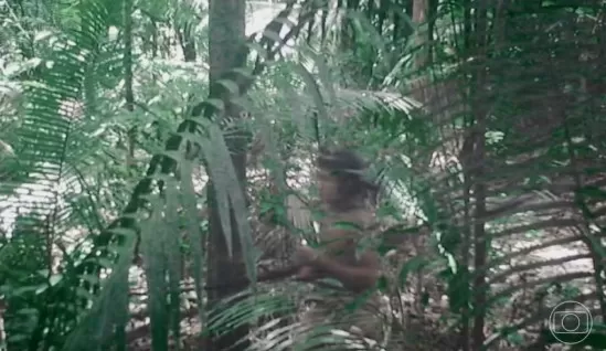 Registros inéditos revelam modo de vida de indígenas isolados em uma das regiões mais remotas da Amazônia