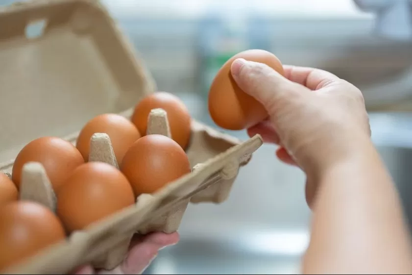 Ovo vira símbolo da inflação dos alimentos que perturba o governo Lula
