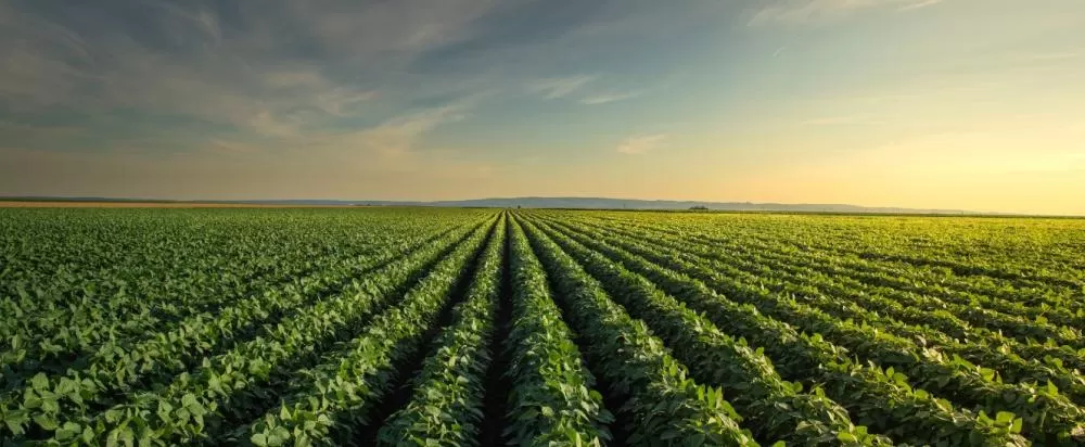 Governo publica MP que abre R$ 4,1 bi em crédito para Plano Safra