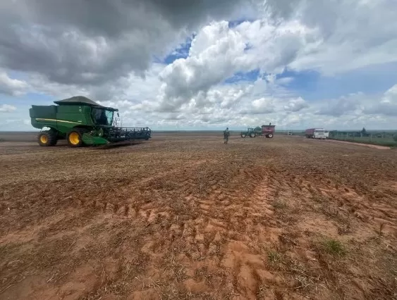 Máquinas agrícolas e mais de 72 mil kg de soja são apreendidos em operação contra desmatamento ilegal em MT