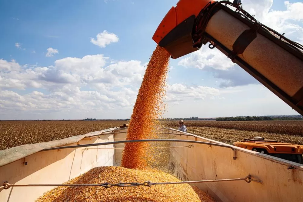 Gigante do agronegócio: Mato Grosso representa 30% da produção nacional