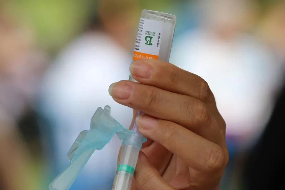 Saiba quem pode se vacinar contra a gripe; campanha começa em abril