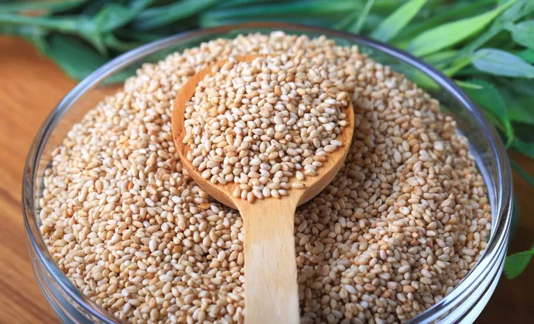 MT firma parceria inédita com centro de pesquisa da China para desenvolvimento do gergelim