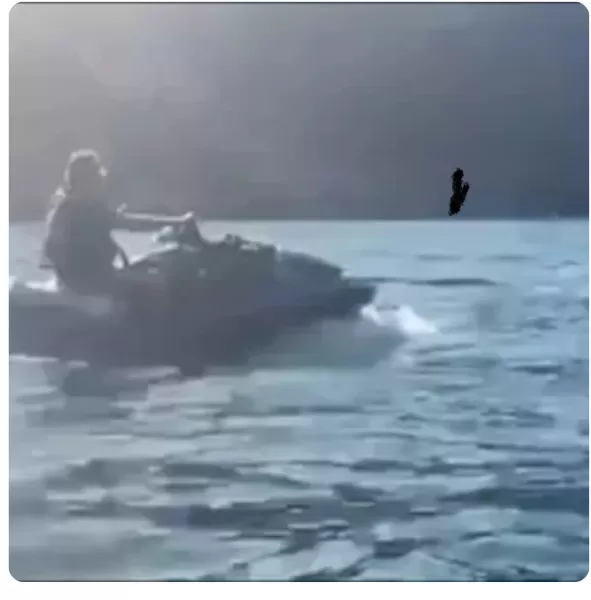 MPF arquiva outra investigação contra Bolsonaro