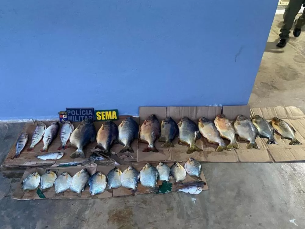 Sema apreende 38 kg de pescado irregular e aplica multa de R$ 8,8 mil a infrator