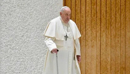 Papa Francisco nomeou 108 dos 135 cardeais que elegerão o próximo pontífice