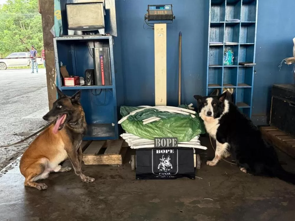 Bope apreende 49 quilos de explosivos em carga de transportadora em Cuiabá