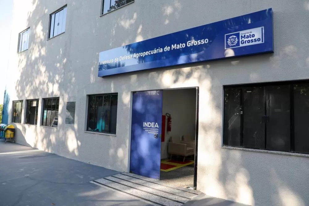 Indea recomenda reforço nos cuidados sanitários contra a gripe aviária para produtores e indústrias