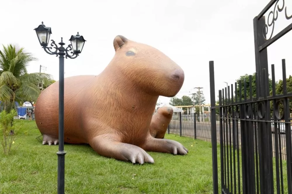 Capivara de quatro metros de altura chama atenção para Virada Sustentável Mato Grosso