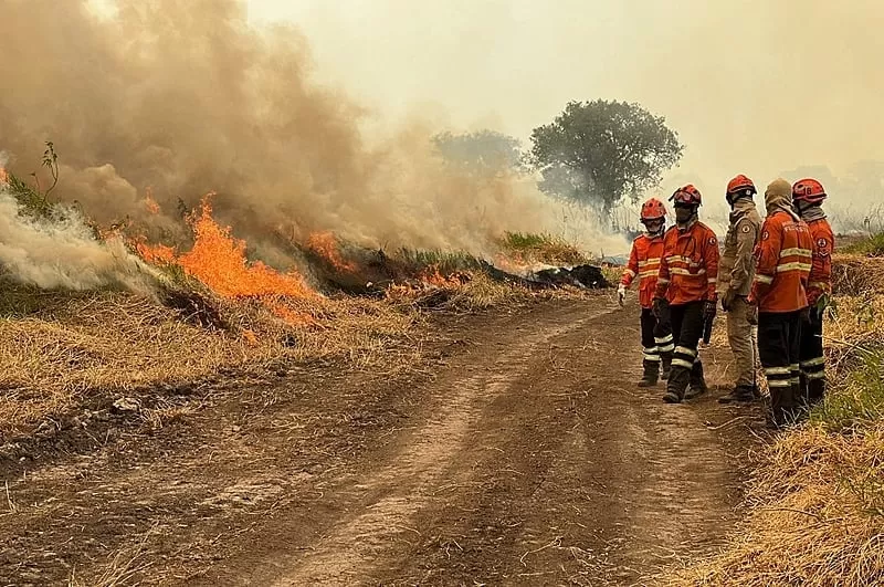Decreto proíbe uso do fogo para limpeza e manejo de áreas rurais no Pantanal de MT