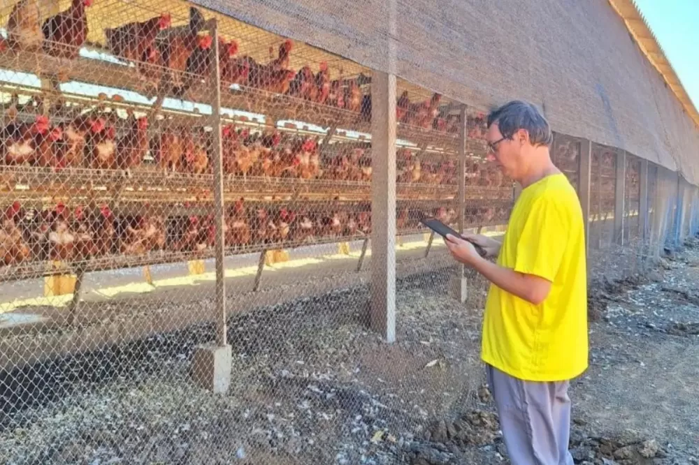 Secretaria de Saúde de MT confirma dois casos suspeitos de gripe aviária em humanos