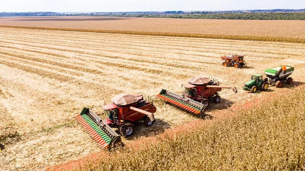 Mato Grosso inicia colheita de milho com produção estimada em 50,3 milhões de toneladas