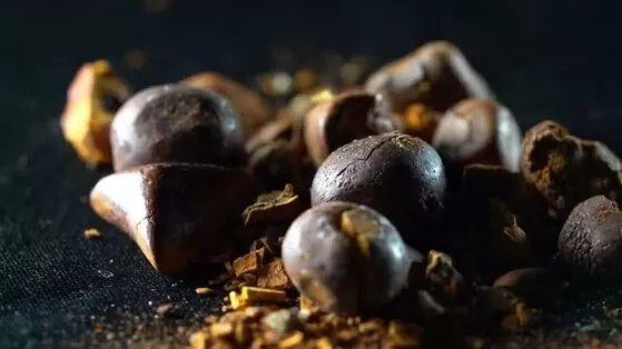 Pedra de boi avaliada em R$ 1 milhão é furtada de frigorífico