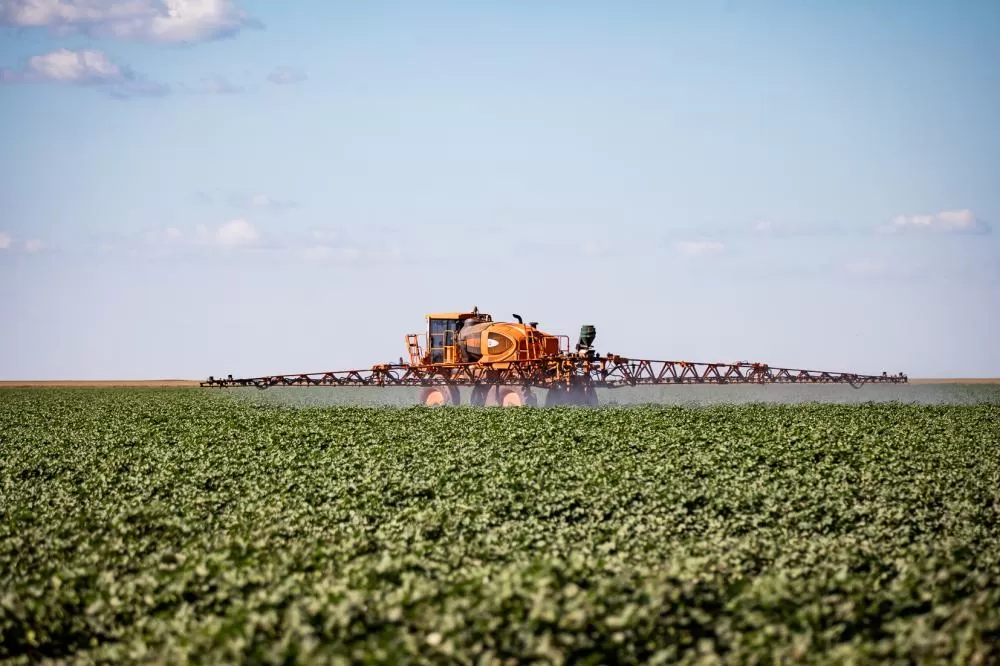  Mato Grosso puxa alta na estimativa de produção agrícola e consolida liderança nacional