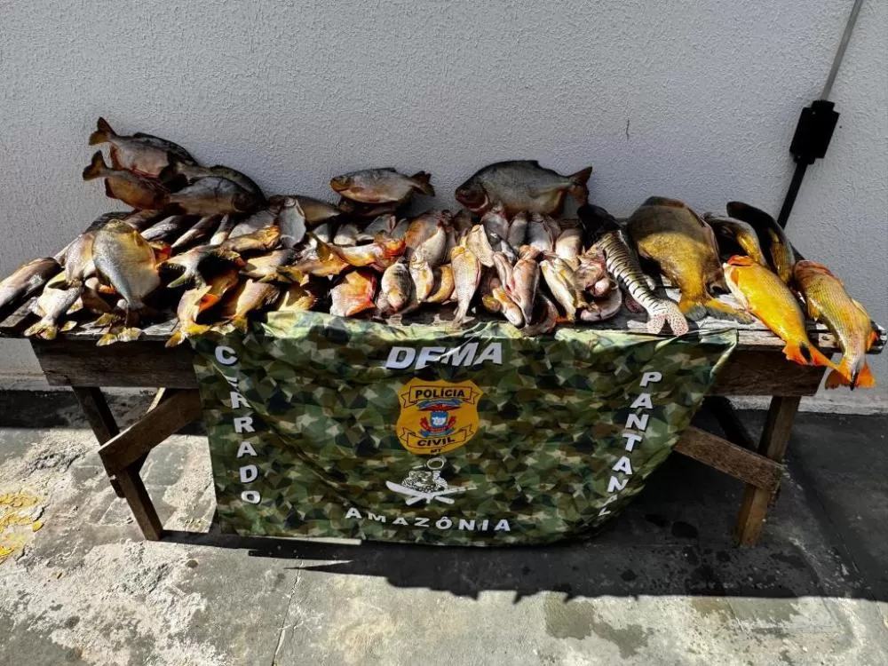 Apreensão de pescado pela Dema cresce 570% nos primeiros 6 meses de 2025