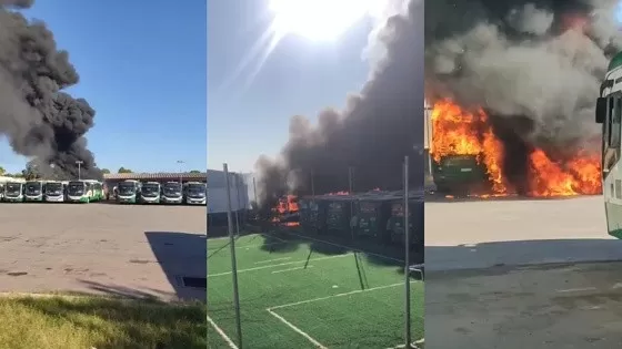 Seis ônibus são danificados em incêndio em garagem em MT; passageiros não serão prejudicados