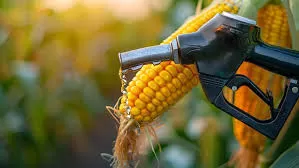 Mato Grosso se consolida na produção de etanol de milho