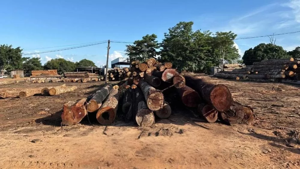 Polícia Civil deflagra 2ª fase da investigação que apura crime de extração ilegal de madeira em Juína