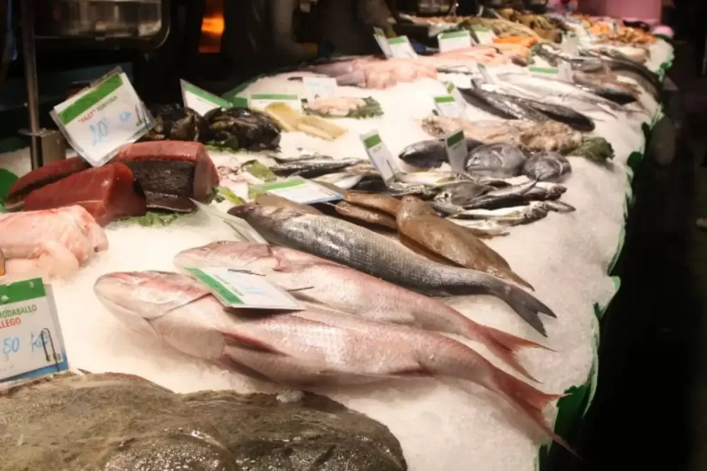 MPMT cobra ação do poder público contra venda irregular de pescado em Cuiabá