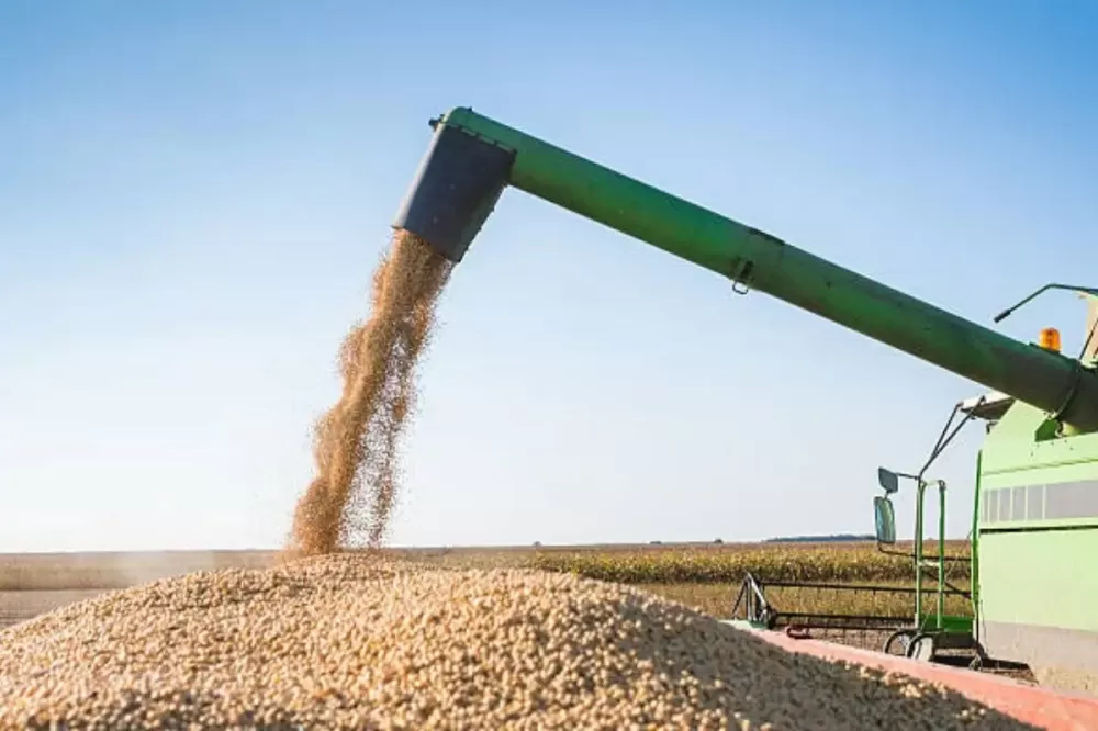 Foto: Internet / Reprodução