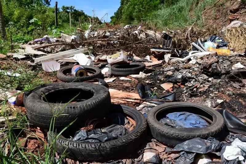 Dengue avança em Mato Grosso e Nova Mutum entra no mapa de maior risco no início de 2026