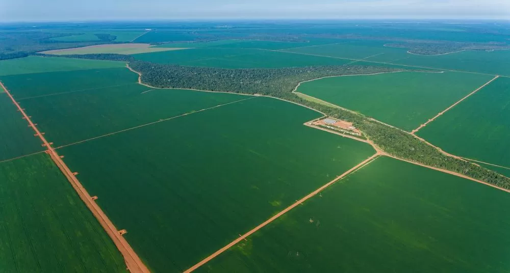 Governo federal autoriza desapropriação de fazenda de 2,3 mil hectares em Nova Olímpia