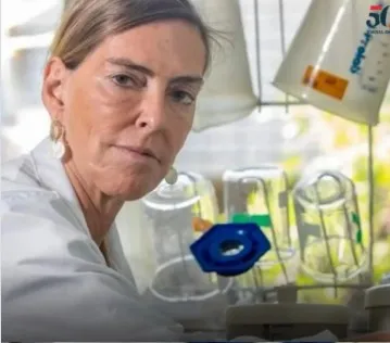 Brasileira faz seis tetraplégicos voltarem a andar