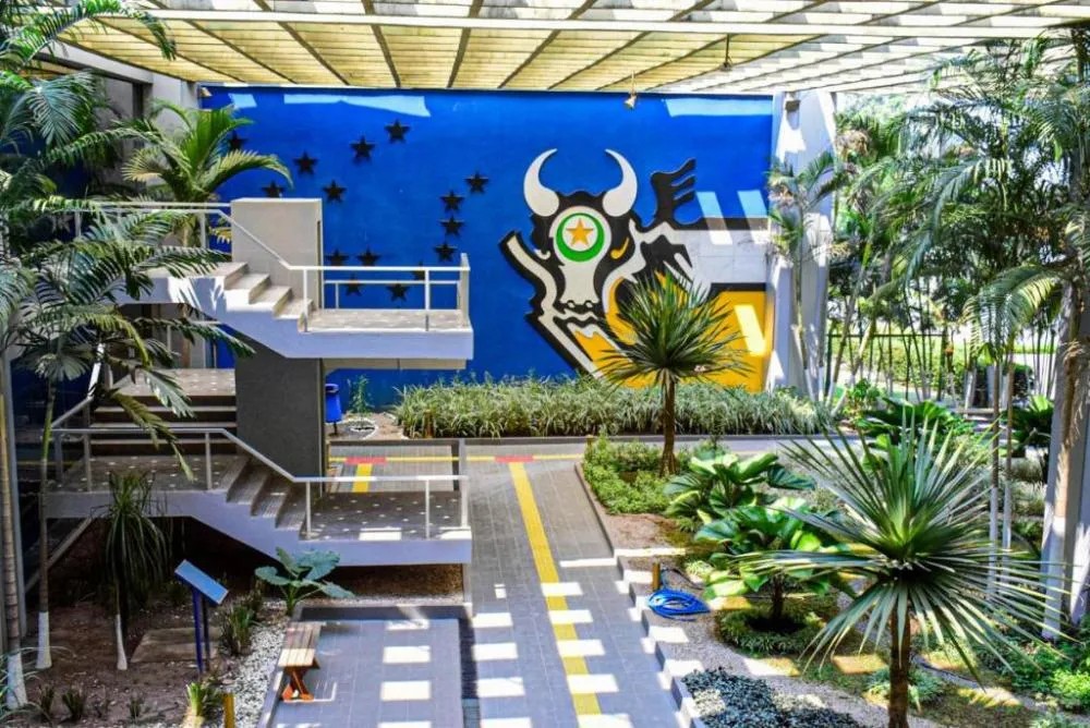 Crédito - Michel Alvim