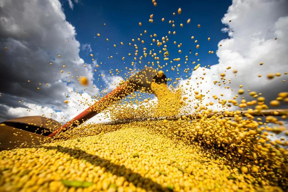 Sorriso, Sapezal e Campo Novo do Parecis estão em as 5 cidades mais ricas do agronegócio no país