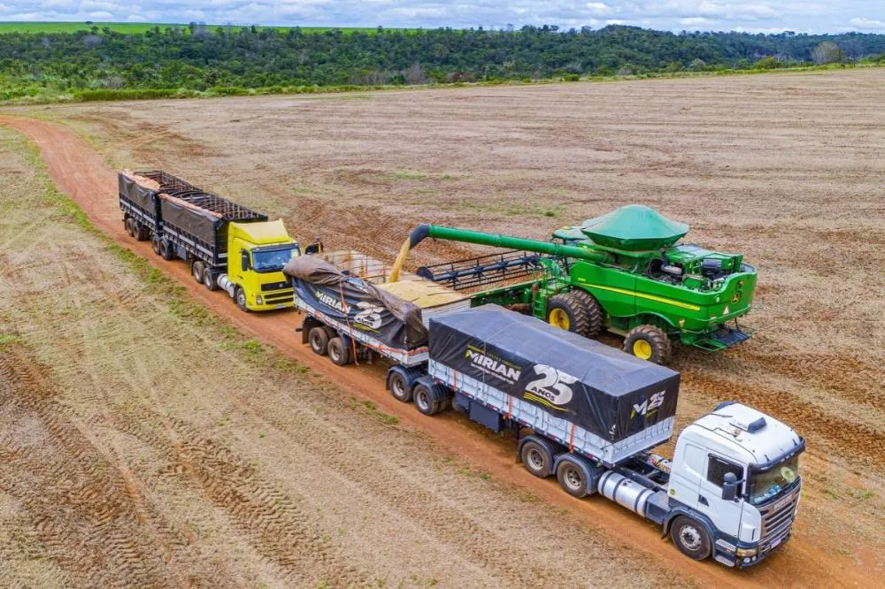 Mato Grosso mantém liderança na agropecuária com produção de R$ 206 bilhões
