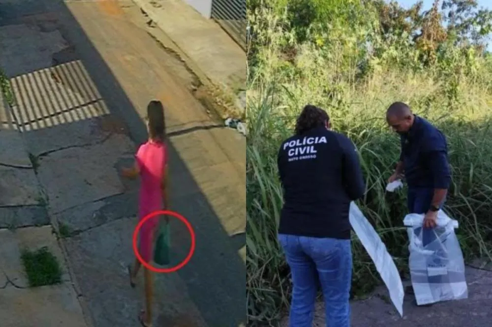 Reprodução