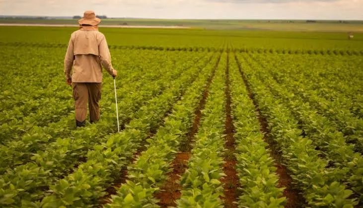 Falta de trabalhadores preocupa o agronegócio e faz fazendas ampliarem salários e benefícios
